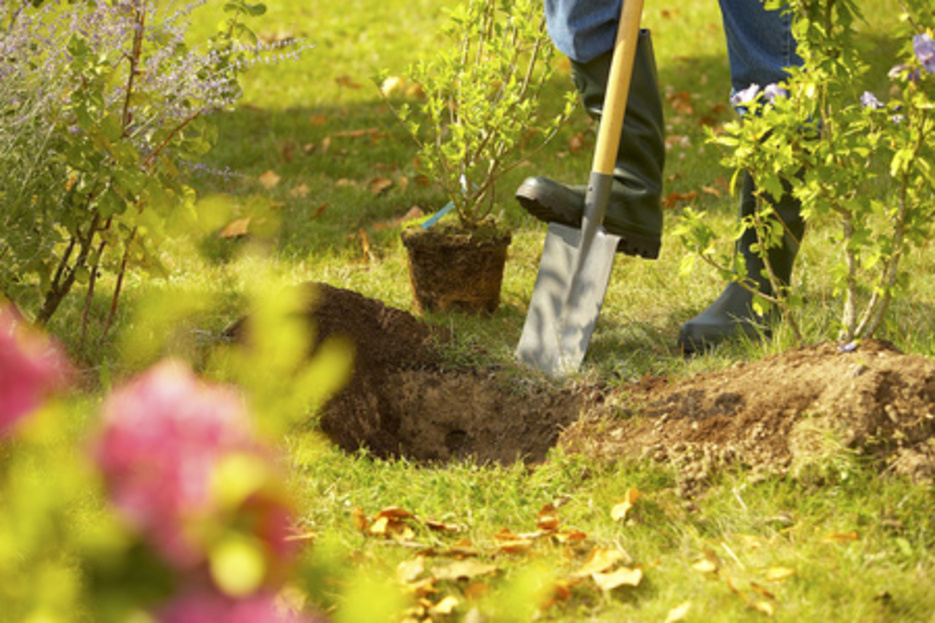 Paysagiste Paysagiste